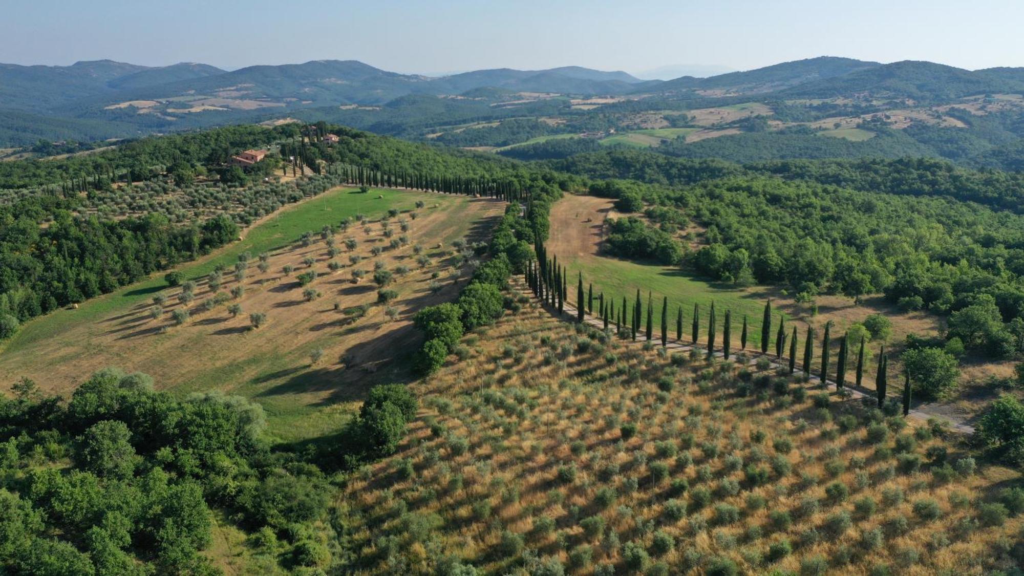 La Coccinella Lägenhet San Venanzo Exteriör bild