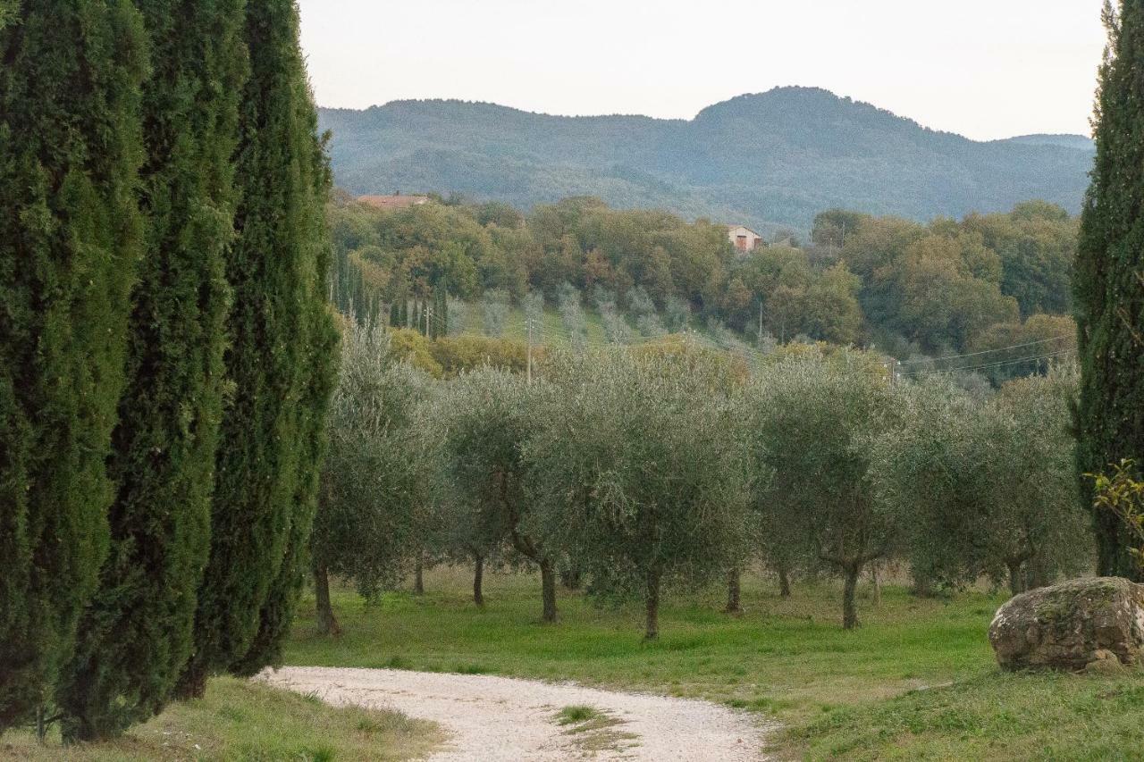 La Coccinella Lägenhet San Venanzo Exteriör bild