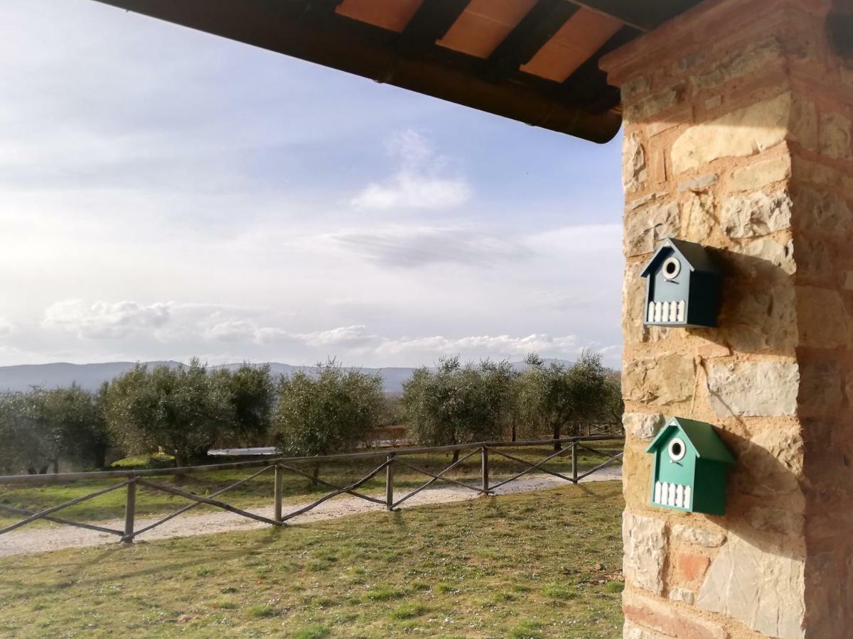 La Coccinella Lägenhet San Venanzo Exteriör bild